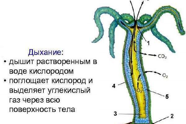 Kra12gl