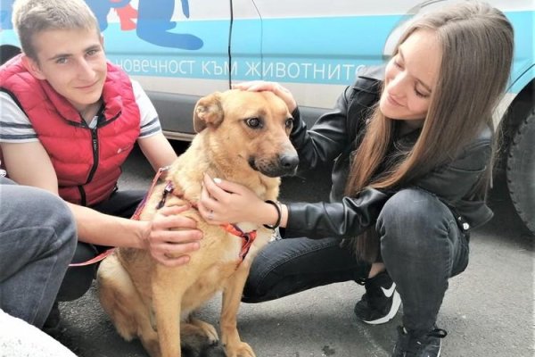 Кракен kr2web in маркетплейс ссылка