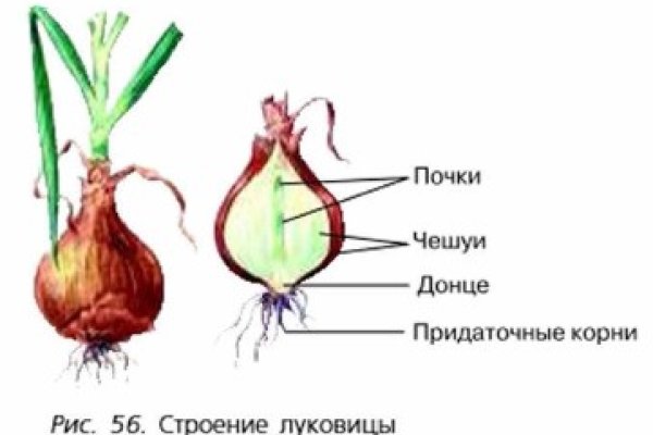 Кракен зеркало тор picassogallery com